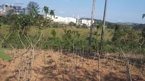 Imagem 8 de 15 de Área Para Loteamento Para Venda Em Atibaia, Loteamento Vale Das Flores - Te00141_2-795118