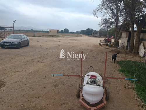 Agrícola En Arriendo En Limache