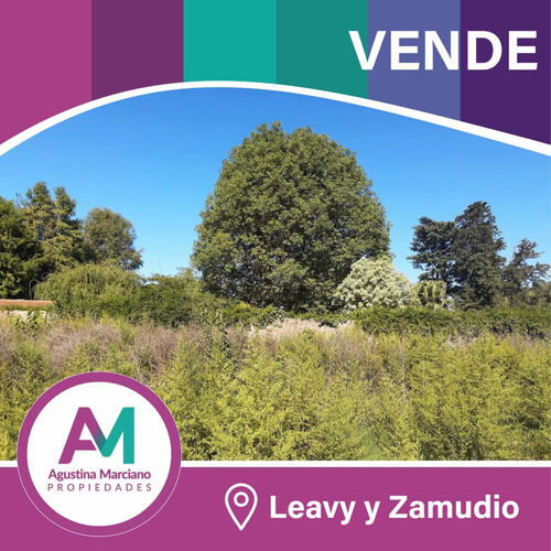 Imagen 3 de 5 de Lotes En Venta! 1000 M2