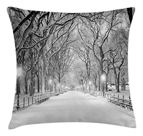 Ambesonne Invierno Tira Funda De Almohada, Vista Al Wldm7