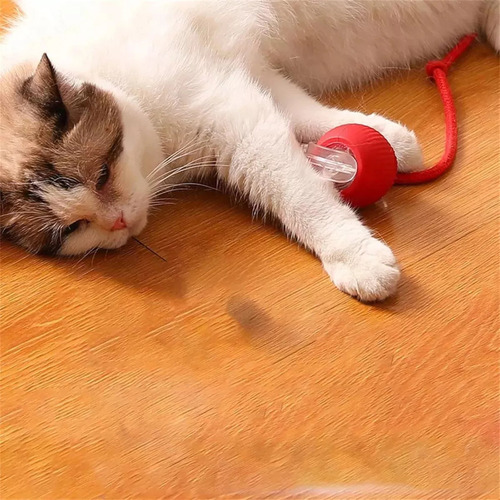 Bola Móvil 2*, Gato Electrónico Interactivo Automático Con G