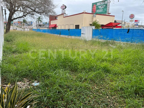 Terreno En Renta En Av. Hidalgo, Tampico