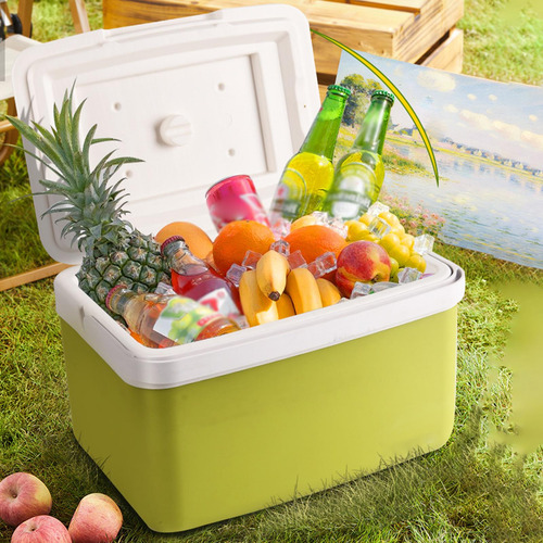 Caja De Refrigerador Aislada De Hielo Pequeña 9 Litros