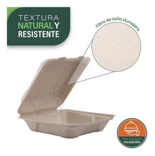 Berry Green 200 contenedores compostables para alimentos 20x20x6.5 cm (8 pulgadas) de fibra de caña de azúcar resistentes a líquidos ecológicos biodegradables ideales para comida para llevar
