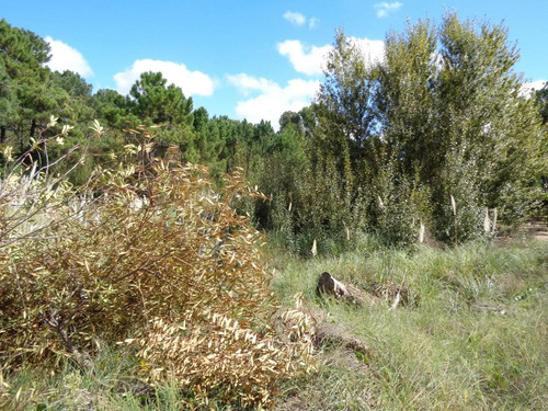 Imagen 3 de 3 de Lote Unifamiliar En Las Gaviotas