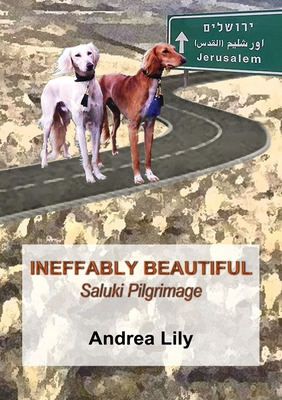 Libro Ineffably Beautiful: Saluki Pilgrimage - Lily, Andrea