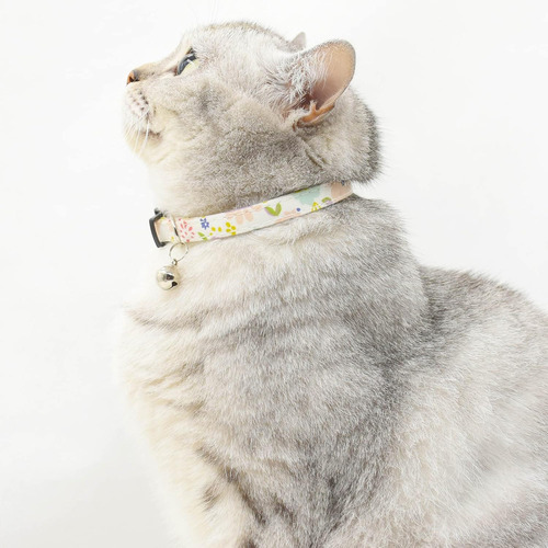 Collares Para Gatos Separables Con Campana, Juego De 3, Dura