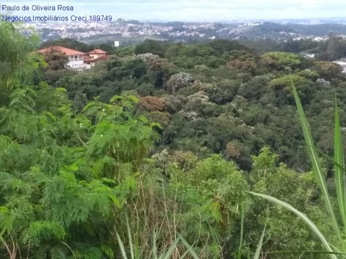 Imagem 7 de 22 de Terreno - Te00049 - 69287773