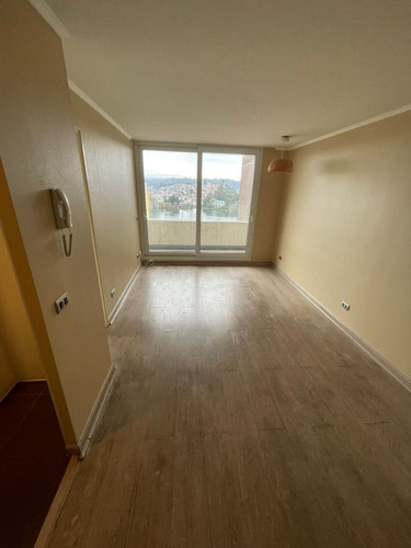 ¡ideal Inversión En Concepción, Cerca De La Uss!