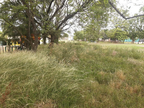 Imagen 5 de 20 de Terreno Esquina Céntrica Concordia, Los Charruas. Asfalto. Todos Los Servicios (400 M2).