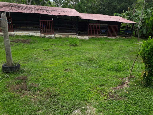 Imagen 1 de 14 de Venta De Finca, Arjona, Cartagena