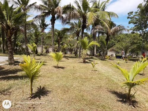 Casa A Venda