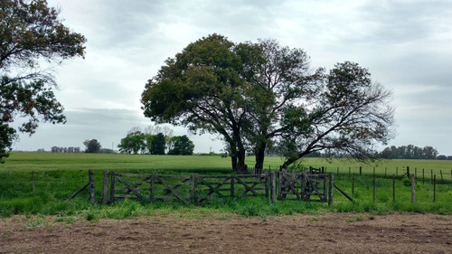Venta Campo San Andrés De Giles
