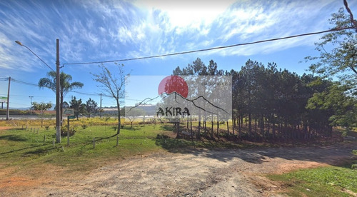 Imagem 3 de 3 de Vendo Área 12.000 M² Frente Para Dutra Zoneamento Misto! - 343