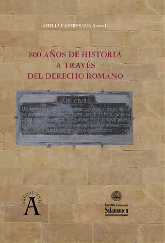 800 Años De Historia A Través Del Derecho Romano, De Amelia Castresana. Serie 8490129432, Vol. 1. Editorial Espana-silu, Tapa Dura, Edición 2018 En Español, 2018