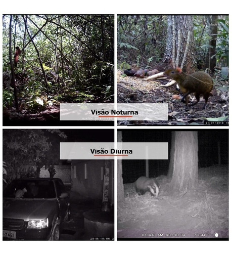 Câmera De Trilha Visão Noturna, Observação De Animais + 16gb