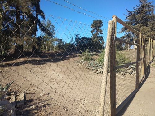 Reñaca, Los Pinos, A 2 Cuadras De Avda. Gastón Hamel
