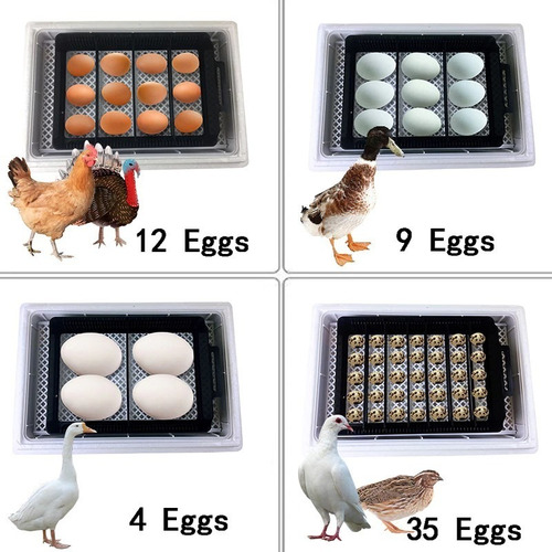 Imagen 2 de 10 de Incubadora De 12 Huevos Full Automatica, Gallina Codorniz