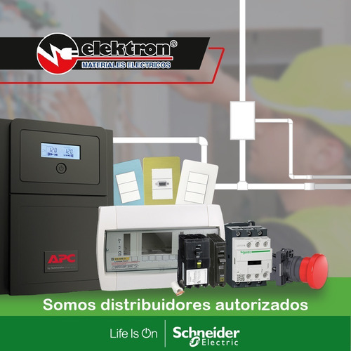 Imagen 2 de 4 de Tab. Nq Interior 42sp 225a 3f Zap. Ppales Schneider Nq42l2c