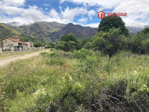 Terreno - Parque Los Nogales