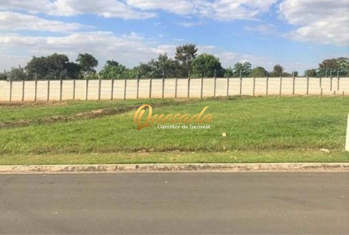 Imagem 5 de 19 de Terreno - Te00253 - 69578378