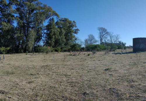 Imagen 11 de 15 de Campo - Zapiola