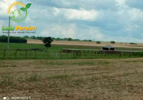 Imagem 7 de 15 de Fazenda À Venda Em Anaurilândia - Ms - (excelente Para Lavoura) - 1696