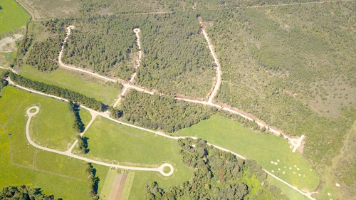 Lomas Del Maullín