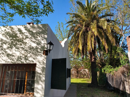 Imagen 2 de 9 de Hermosa Casa-quinta De 1 Dormitorio En Moreno Lado Norte! Sobre Calle Güemes Entre Venezuela Y Guatemala - Amplio Parque!
