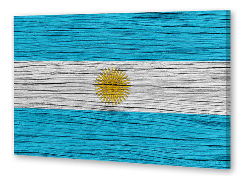 Cuadro 20x30cm Bandera Argentina Patria Nacion Celeste P1