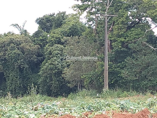 Imagem 8 de 14 de Lindo Terreno No Bairro Lageadinho Ibiúna. Cód 380.