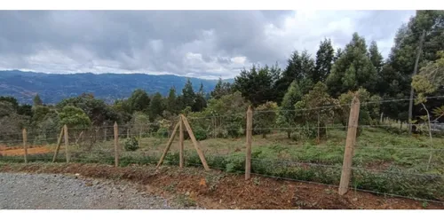Rhbr-14718 (lote) (guarne)