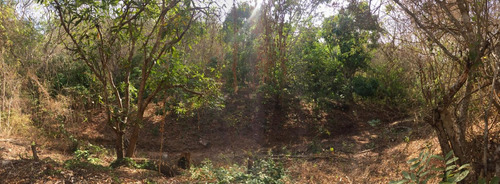 Terreno En Venta San Pedro Pochutla