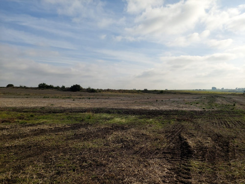 Imagen 4 de 5 de Vendo 44 Hás De Campo En Cerro De Las Armas Sin Construcciones