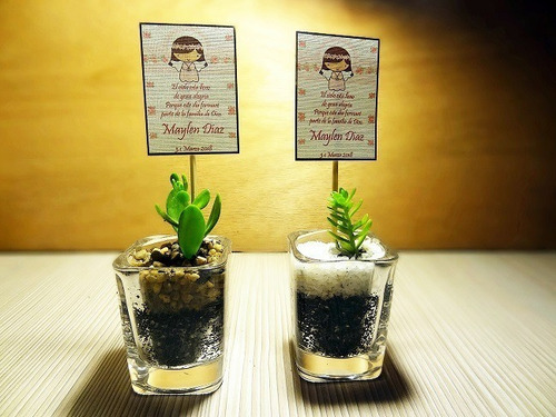 Regalos Cactus Suculentas En Vaso Cristal Más Cartel Eventos (Usado)