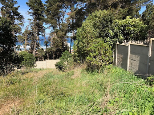Venta Sitio - El Tabo A 500 M. De La Playa