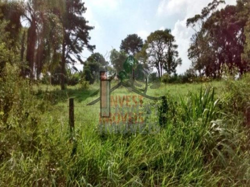 Imagem 2 de 7 de Cód 1276 - Terreno De 2000 M², De Frente Para O Asfalto . - 1276