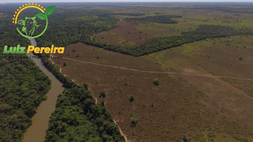 Imagem 9 de 15 de Fazenda À Venda No Vale Do Araguaia - To- De 2.594 Hectares (dupla Aptidão) - 1739