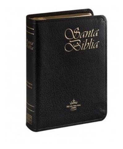 Libro - Santa Biblia Reina Valera Letra Chica