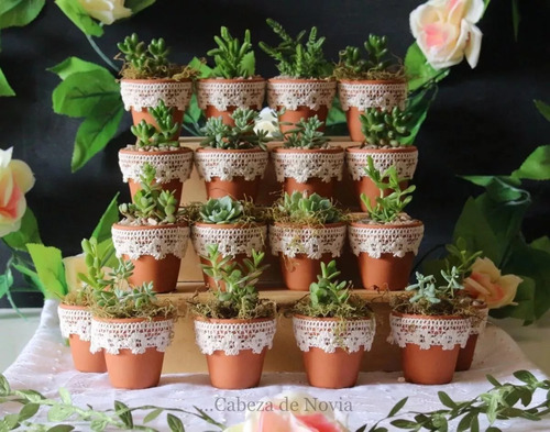 Recuerdos Suculentas Plantas Cactus Matrimonio Baby Shower