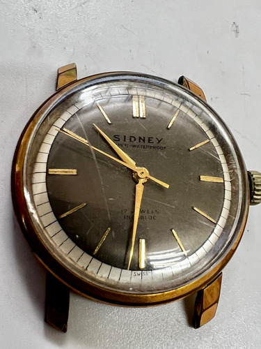 Reloj Sidney Mecanico 17 Joyas  Acero Pvd Vintage Proyecto