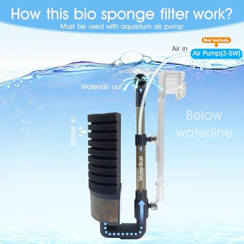 Filtro De Esponja De Aire Para Acuario De 5 A 10 Galones Con