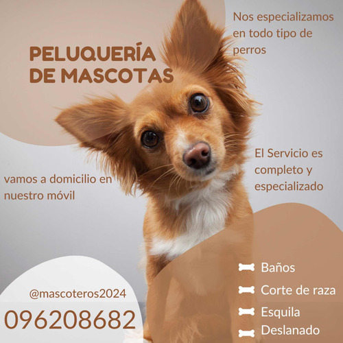 Peluqueria Canina A Domicilio