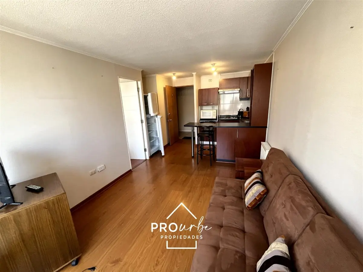 Imagen 1 de 23 de Departamento En Venta 1 Dorm. En Santiago Metro U De Chile