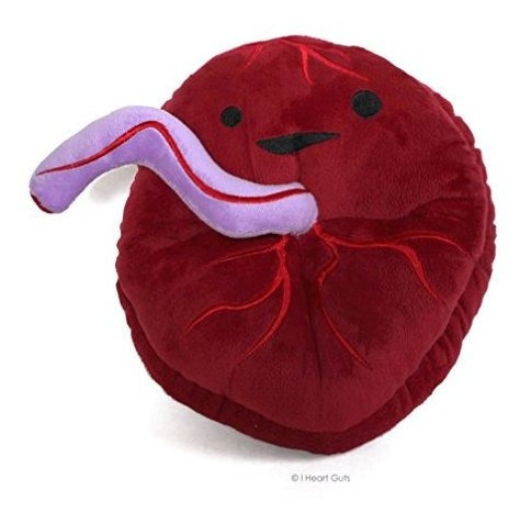 I Corazones Placenta Plush - Primero Compañero B00uzksz8y1