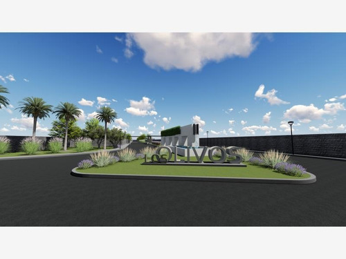 Imagen 3 de 12 de Terreno En Venta En Los Olivos, Gómez Palacio