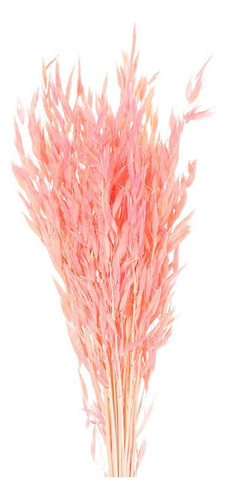 Ramos De Flores Secas De Hierba De Trigo | Real Flowerhomey