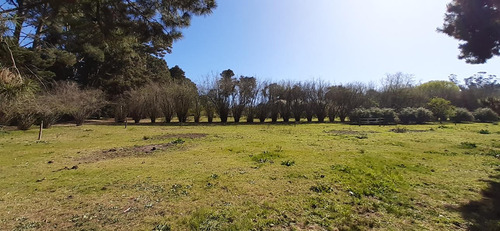 Fraccion De 8.1000 M² Parquizada Y Forestada