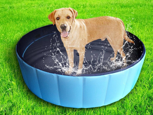 Piscina De Petpai Perro Perro Piscina Piscina Regalos De Est
