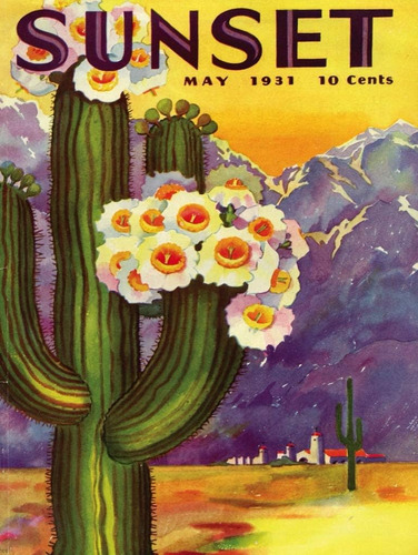 New York Puzzle Company - Sunset Cactus Blooms - Rompecabeza
